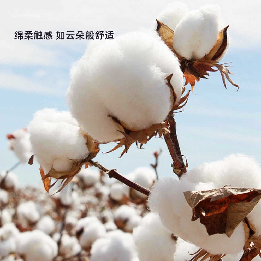 5.0/3.0/2.5mm Rubber Head Orga - Cotton Wick Organic avaliação e preço
